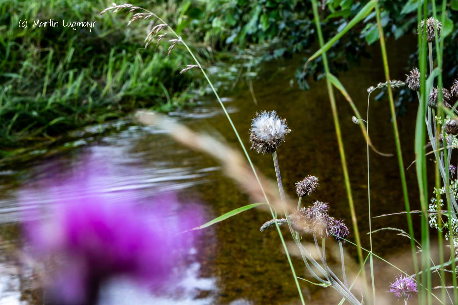 UrlaubsREICH Kamp_WEB_5397