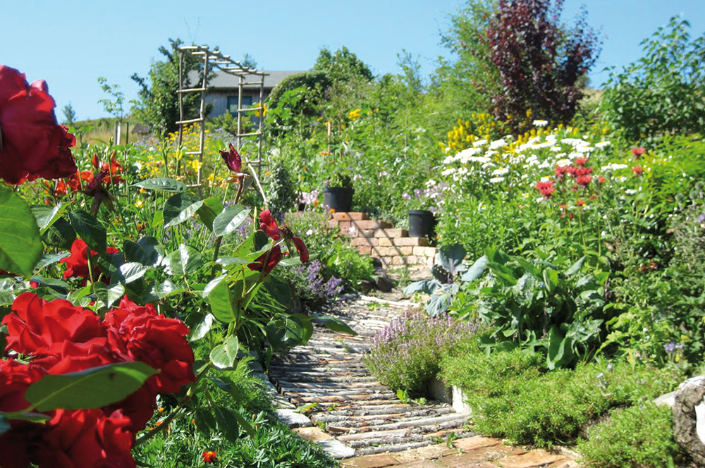 Schaugarten_Huber Kamp